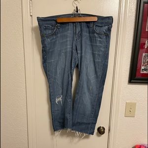 Plus Size Low Waist Denim